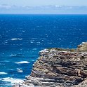 ZAF WC CapePoint 2016NOV14 NP 003 : 2016, 2016 - African Adventures, Africa, November, South Africa, Southern, Western Cape, Cape Point, Cape Peninsula, Cape Town, National Park